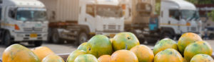 Image of fruit with lorries in the background